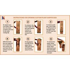 Ficus Tineke Rubber Plant Ficus Elastica Variegated Live Plant In 10 Inch White Decor Pot 6 Ficus Tineke Rubber Plant Ficus Elastica Variegated Live Plant In 10 Inch White Decor Pot -Urban Garden Store united nursery house plants 00137 76 1000