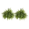 Boston Fern Plant In 9.25 In. Hanging Basket (2-Pack)