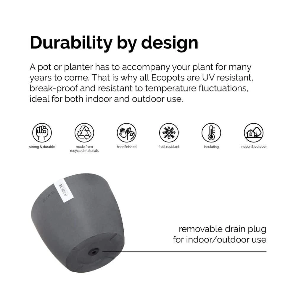 Areca Palm Dypsis Lutescens Live Plant In 6 Inch Premium Sustainable Ecopots Dark Grey Pot With Removeable Drainage Plug 2 Areca Palm Dypsis Lutescens Live Plant In 6 Inch Premium Sustainable Ecopots Dark Grey Pot With Removeable Drainage Plug - Image 2