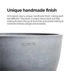 Croton Petra Live Codiaeum Variegatum In 6 Inch Premium Sustainable Ecopots Grey Pot 10 Croton Petra Live Codiaeum Variegatum In 6 Inch Premium Sustainable Ecopots Grey Pot -Urban Garden Store united nursery house plants cpetra6shgry 44 1000