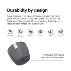 Croton Petra Live Codiaeum Variegatum In 6 Inch Premium Sustainable Ecopots White Grey Pot With Removeable Drainage Plug -Urban Garden Store united nursery house plants cpetra6shwg 1f 1000