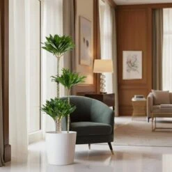 10 In. Dracaena Janet Craig Compacta Plant In White Decor Pot -Urban Garden Store united nursery house plants dracjcc10hw 4f 1000