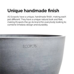 Fukiean Tea Live Bonsai In 6 Inch Premium Sustainable Ecopots White Grey Pot With Removeable Drainage Plug -Urban Garden Store united nursery house plants ftea6shwg 44 1000