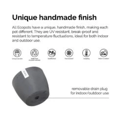 Peace Lily Plant Live Spathiphyllum Indoor Outdoor Plant In 10 In. Premium Ecopots Gray -Urban Garden Store united nursery house plants spath10gr fa 1000