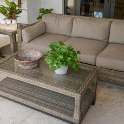 Golden Pothos Indoor Vining Houseplant In 6 In. Grower Pot -Urban Garden Store united nursery pothos plants 22310 c3 1000