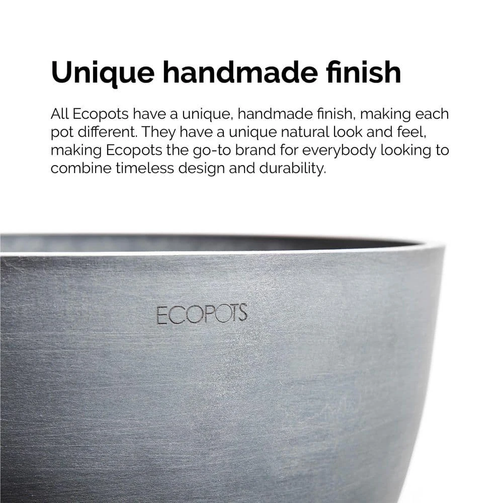 Sansevieria Zeylanica Live Snake Plant In 6 Inch Premium Ecopots Pure White 4 Sansevieria Zeylanica Live Snake Plant In 6 Inch Premium Ecopots Pure White - Image 4